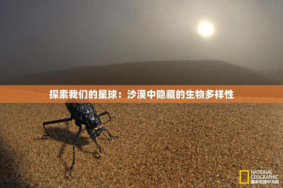 探索我们的星球：沙漠中隐藏的生物多样性